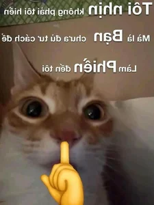 Shhh Quiet Memes: Cute and Funny Silence Memes - image 3