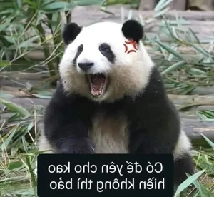 Shhh Quiet Memes: Cute and Funny Silence Memes - image 32