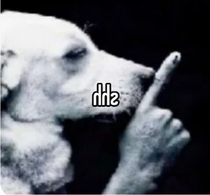 Shhh Quiet Memes: Cute and Funny Silence Memes - image 41