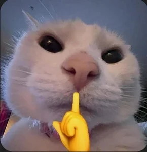 Shhh Quiet Memes: Cute and Funny Silence Memes - image 23