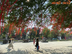Stunning 70-Year-Old Banyan Tree in Hue Becomes a Holiday Landmark - image 1