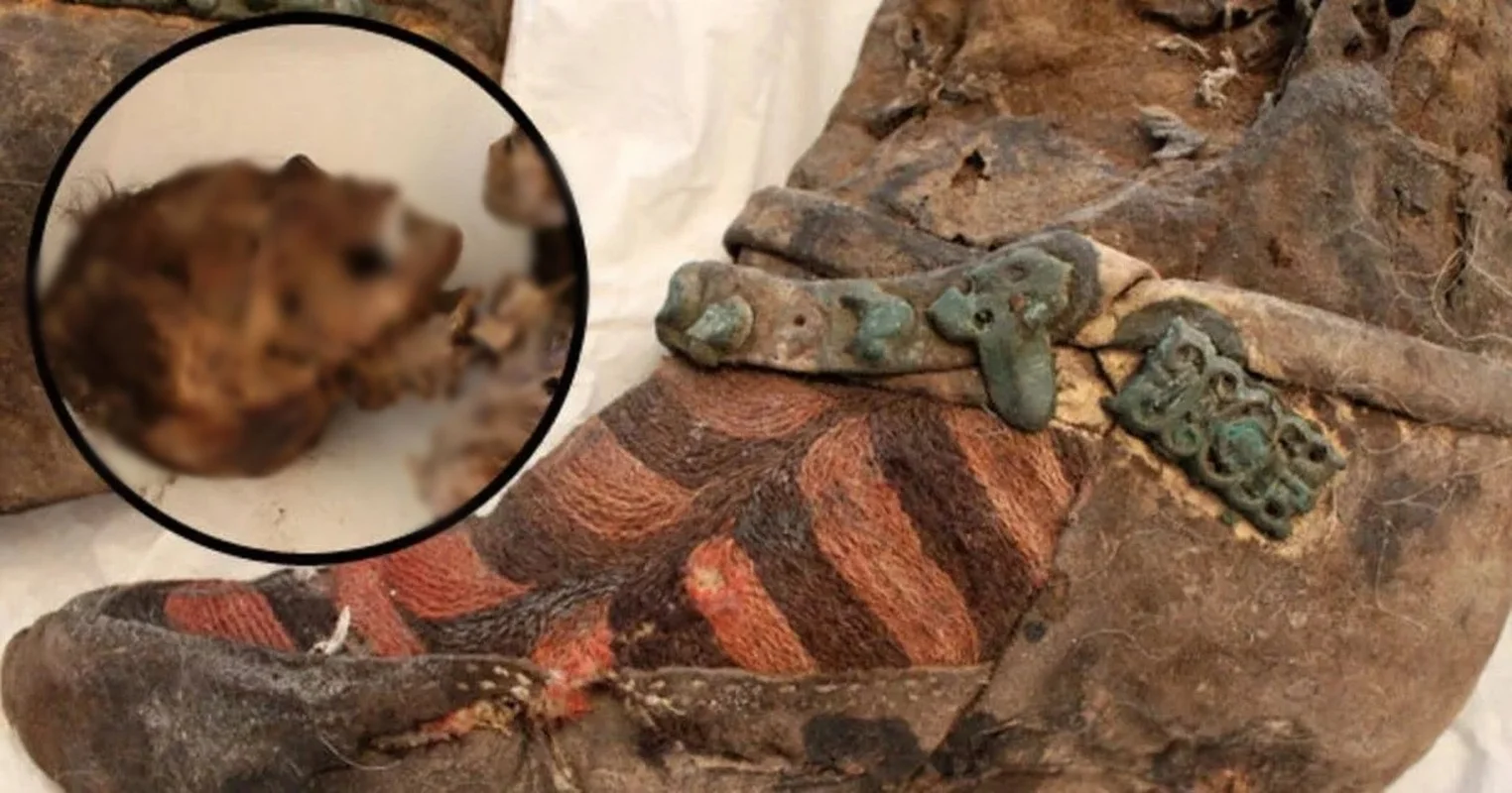 The 'Adidas' Mummy: A 1,500-Year-Old Mystery from the Altai Mountains