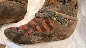The 'Adidas' Mummy: A 1,500-Year-Old Mystery from the Altai Mountains - image 3