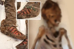 The 'Adidas' Mummy: A 1,500-Year-Old Mystery from the Altai Mountains - image 4