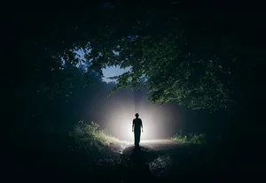 A 40-Year Recurring Dream Reveals a Terrifying Truth About a Past Life - image 3