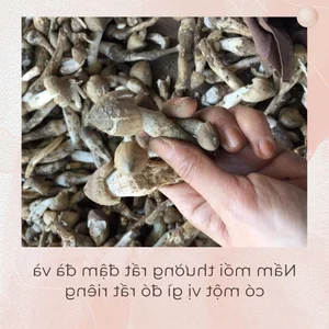 6 Best Dong Nai Specialties to Buy as Perfect Souvenirs - image 2