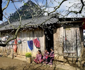 Moc Chau in Bloom: A Dreamy Spring Journey Through the Clouds - image 7
