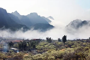 Moc Chau in Bloom: A Dreamy Spring Journey Through the Clouds - image 6