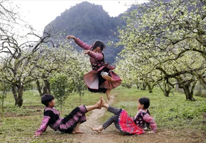 Moc Chau in Bloom: A Dreamy Spring Journey Through the Clouds - image 8