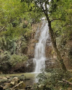 Tang Thanh Ha Shares Heartwarming Family Trekking Adventure in Da Lat's Waterfalls - image 10