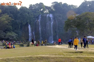 Mesmerizing Natural Scenery of the Most Beautiful Waterfall in Southern Vietnam - image 8