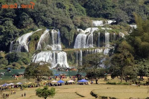 Mesmerizing Natural Scenery of the Most Beautiful Waterfall in Southern Vietnam - image 13