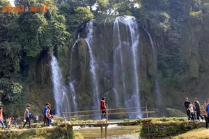 Mesmerizing Natural Scenery of the Most Beautiful Waterfall in Southern Vietnam - image 2