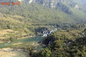 Mesmerizing Natural Scenery of the Most Beautiful Waterfall in Southern Vietnam - image 6