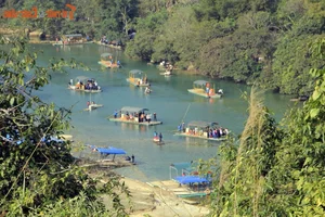 Mesmerizing Natural Scenery of the Most Beautiful Waterfall in Southern Vietnam - image 12