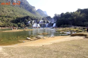 Mesmerizing Natural Scenery of the Most Beautiful Waterfall in Southern Vietnam - image 1