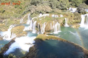 Mesmerizing Natural Scenery of the Most Beautiful Waterfall in Southern Vietnam - image 10