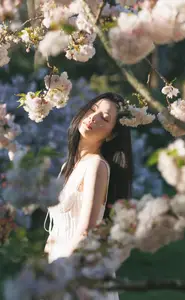 Spring Muse: Pristine Beauty and Grace Amidst Blooming Cherry Blossoms. - image 6