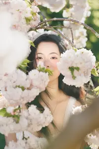 Spring Muse: Pristine Beauty and Grace Amidst Blooming Cherry Blossoms. - image 9
