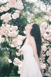 Spring Muse: Pristine Beauty and Grace Amidst Blooming Cherry Blossoms. - image 3