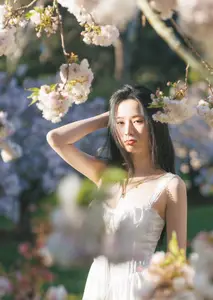 Spring Muse: Pristine Beauty and Grace Amidst Blooming Cherry Blossoms. - image 11
