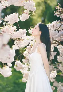Spring Muse: Pristine Beauty and Grace Amidst Blooming Cherry Blossoms. - image 10