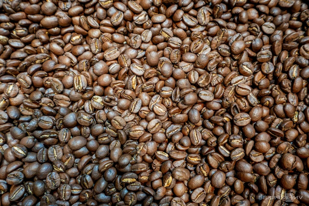 The Mastery of Specialty Coffee Roasting: How Vietnamese Experts are Elevating the Global Coffee Experience