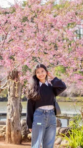 Discover the Breathtaking Pink Cherry Blossoms of Mang Den: A Hidden Spring Paradise in Vietnam's Scenic Central Highlands - image 9