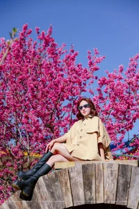 Discover the Breathtaking Pink Cherry Blossoms of Mang Den: A Hidden Spring Paradise in Vietnam's Scenic Central Highlands - image 5