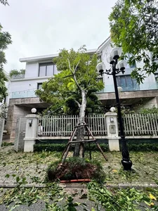 Devastating Impact of Typhoon Yagi on Gardens of Vietnamese Celebrities - image 5