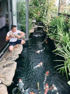 Inside Cao Thai Son's Ultra-Modern 30-Billion VND Smart Villa - image 3