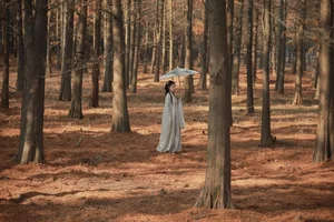 Artistic Language Photography Featuring Zhen Zhen YiTuYu Vol.8103 Collection - image 16