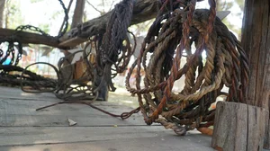 The Rare 700-Year-Old Elephant Bone Chair: A Unique Cultural Treasure of Vietnam - image 11