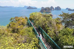 Exploring Thailand's Paradise Island: A Breathtaking Journey for Global Travelers - image 11