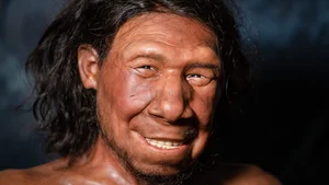 Ancient Encounters: Evidence of Modern Humans and Neanderthals Interbreeding - image 0