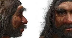 Ancient Encounters: Evidence of Modern Humans and Neanderthals Interbreeding - image 2