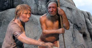 Ancient Encounters: Evidence of Modern Humans and Neanderthals Interbreeding - image 4