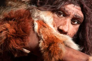 Ancient Encounters: Evidence of Modern Humans and Neanderthals Interbreeding - image 6