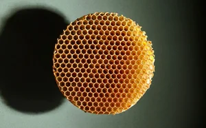 Unbelievable Phobias: Exploring the Strangest and Most Unusual Human Fears - image 3