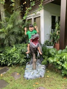 Polo Huynh: The Luxurious Life of Dam Vinh Hung's Adorable Son - image 5
