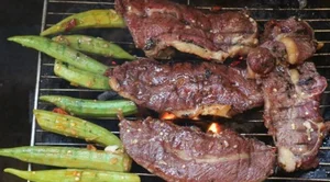 Delicious and Nutritious Buffalo Meat Recipes for Home Cooking - image 0