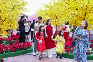 Stunning Dragon Mascots at the 2024 Tet Flower Street in Da Nang - image 12