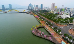 Stunning Dragon Mascots at the 2024 Tet Flower Street in Da Nang - image 10