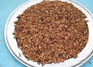 From Childhood Snack to Luxury Delicacy: The 500,000 VND Specialty Seed - image 5