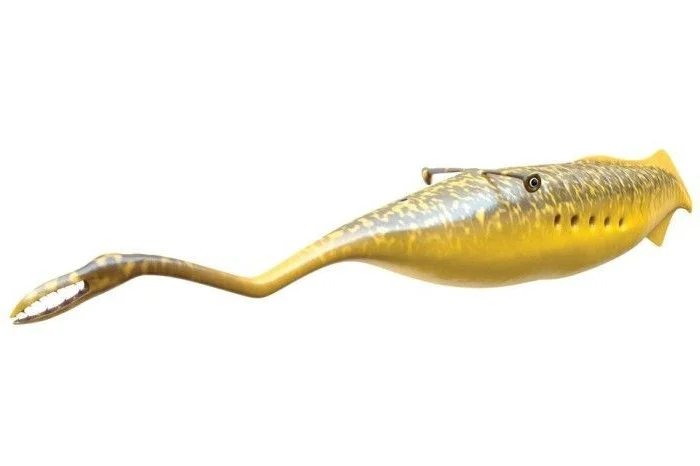 Mysterious and Bizarre Fossil Creatures That Continue to Baffle Paleontologists