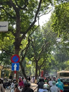 Autumn Romance on Phan Dinh Phung Street in Hanoi - image 4