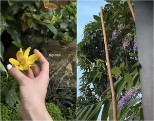 A Peek Inside the Floral Oasis of 'People's Wife' Phuong Ly - image 0