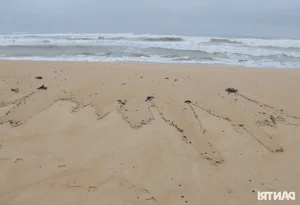 The Sad Reality of a World-Class Bay: Beautiful Beaches Left Ruined and Neglected - image 0