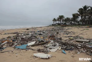 The Sad Reality of a World-Class Bay: Beautiful Beaches Left Ruined and Neglected - image 8