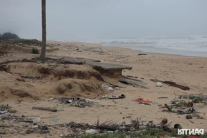 The Sad Reality of a World-Class Bay: Beautiful Beaches Left Ruined and Neglected - image 7